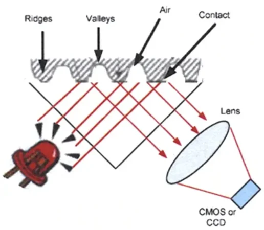 Optical fingerprint researchgate Optical fingerprint