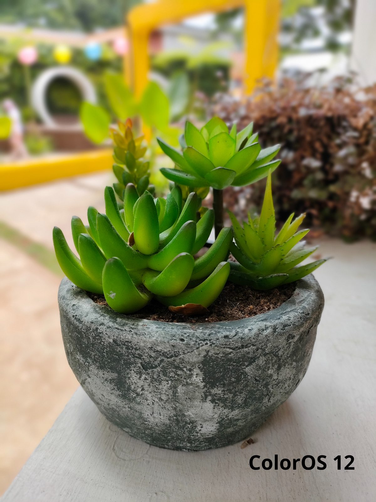 51817790051 ColorOS 12 (kamera belakang)