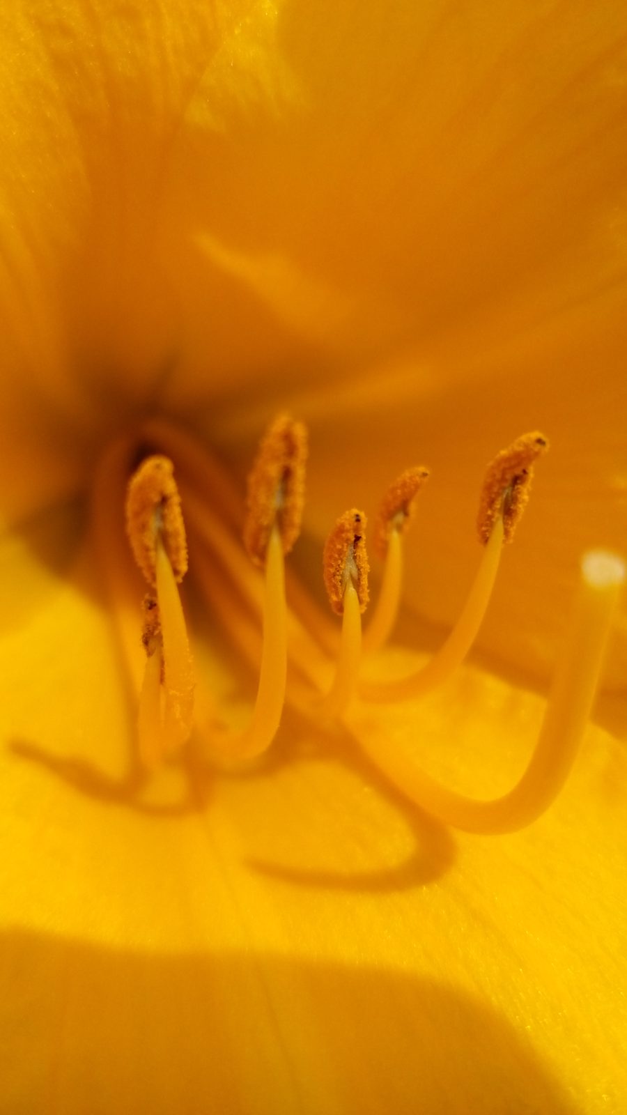 13940358091 Acer Liquid E3 - Foto 4