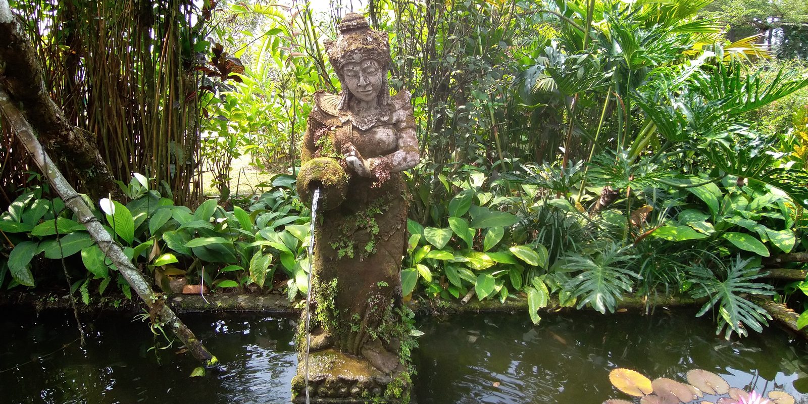 29587962257 Hasil foto Asus ZenFone 5Q (11)