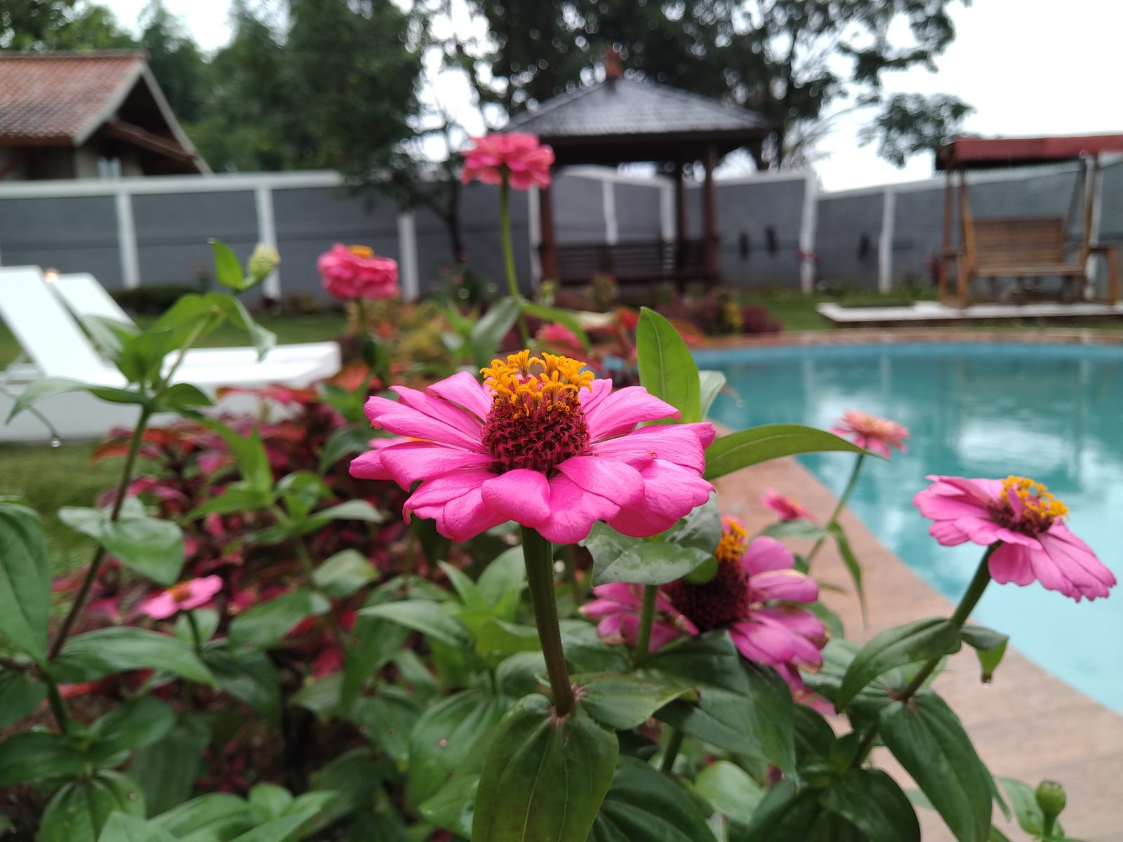 46036617194 Hasil foto Asus ZenFone Max Pro M2 (13)