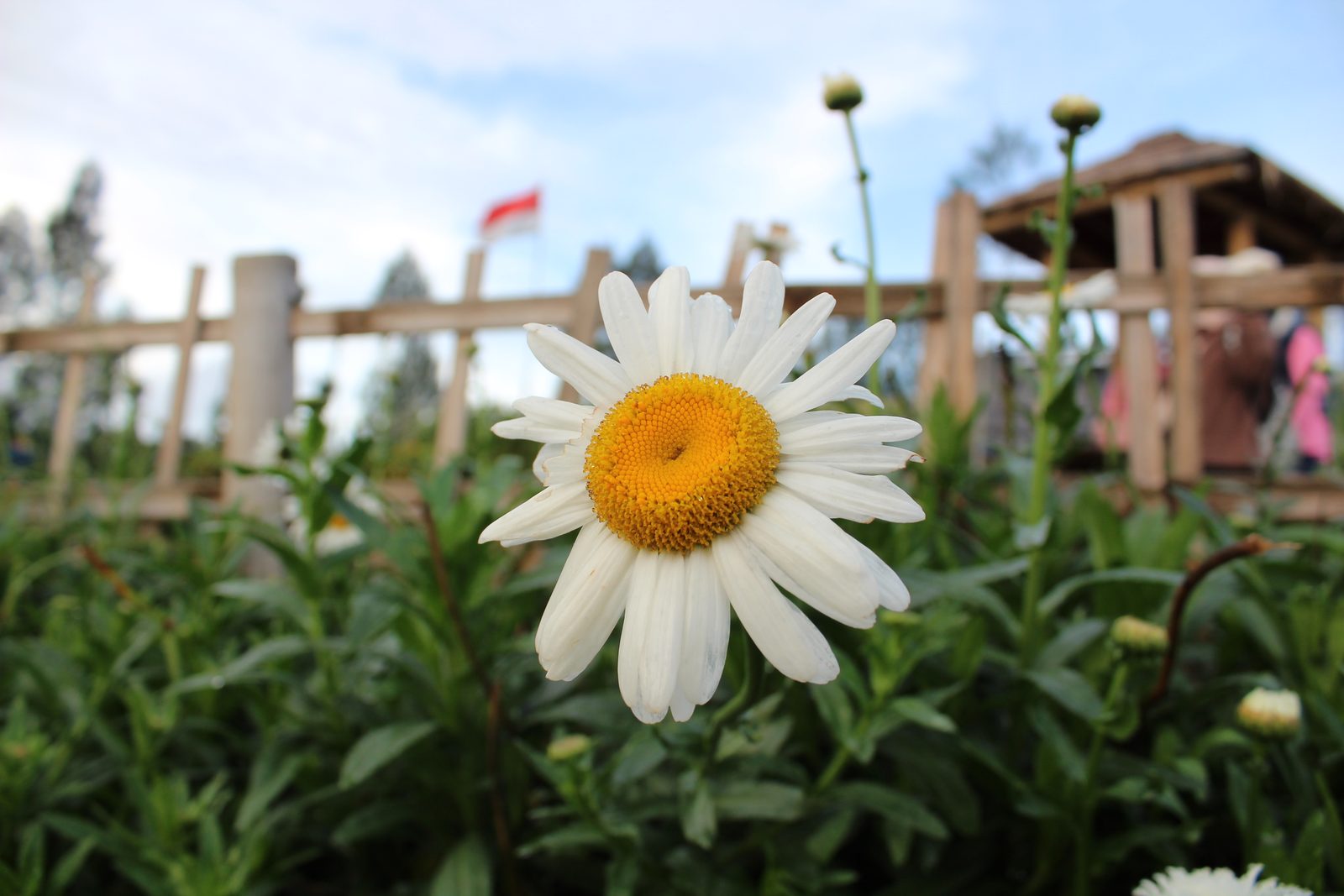 Canon EOS 1300D - Foto 5