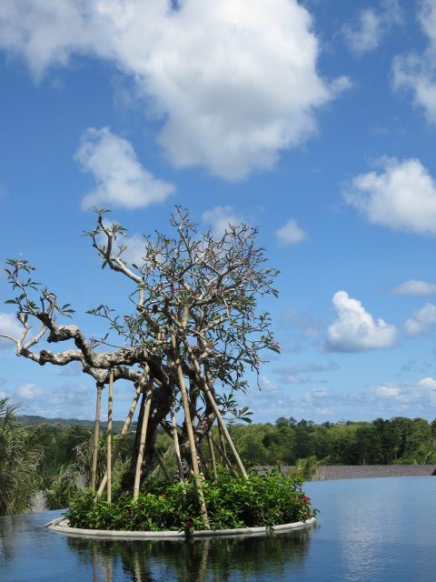14473533746 Canon Powershot SX700HS - Foto 5