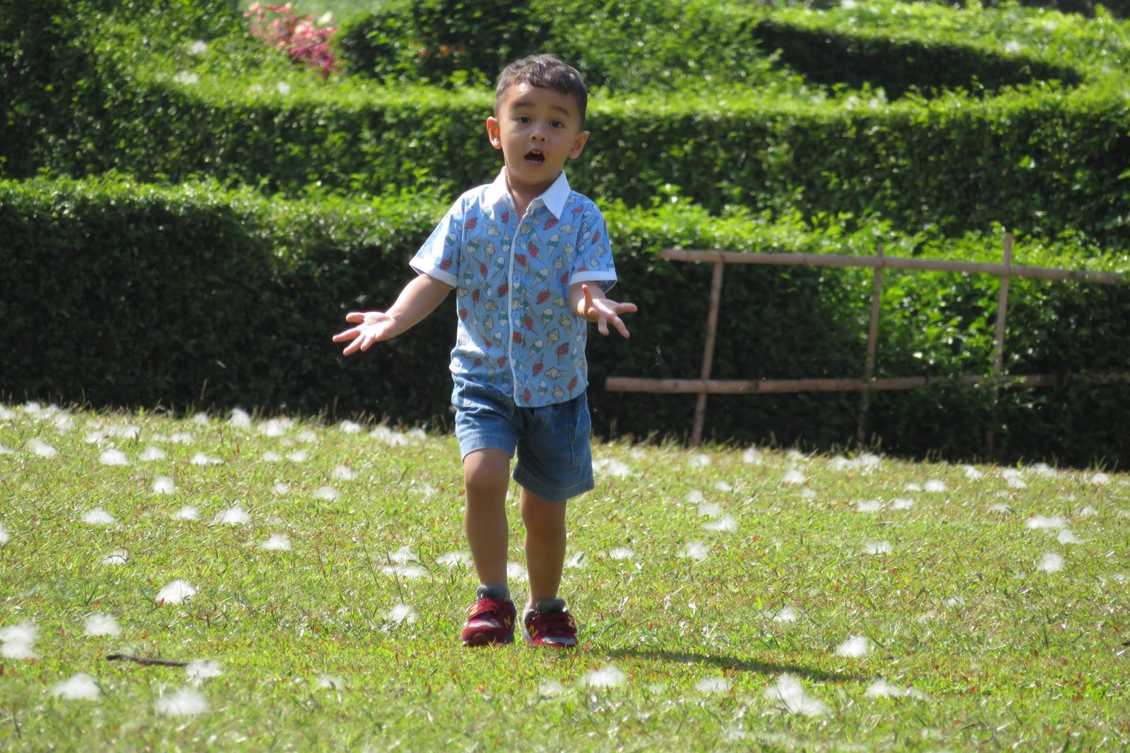 38104315822 Canon PowerShot SX730HS - Foto 3