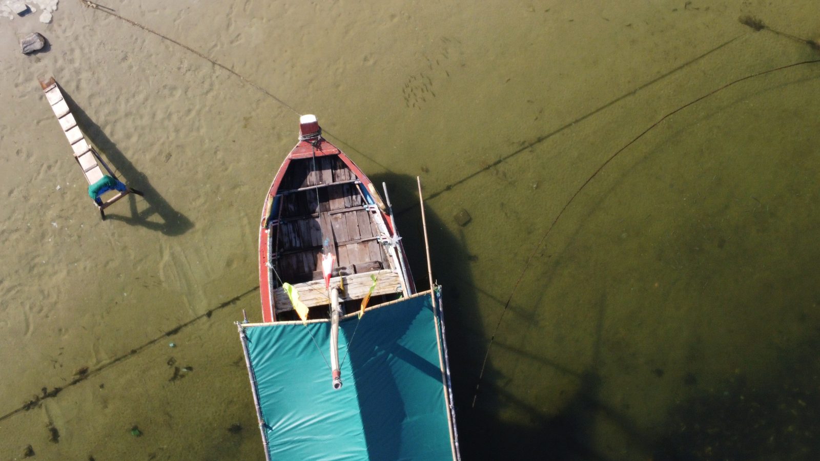 51011772120 DJI MINI 2 - Foto 4
