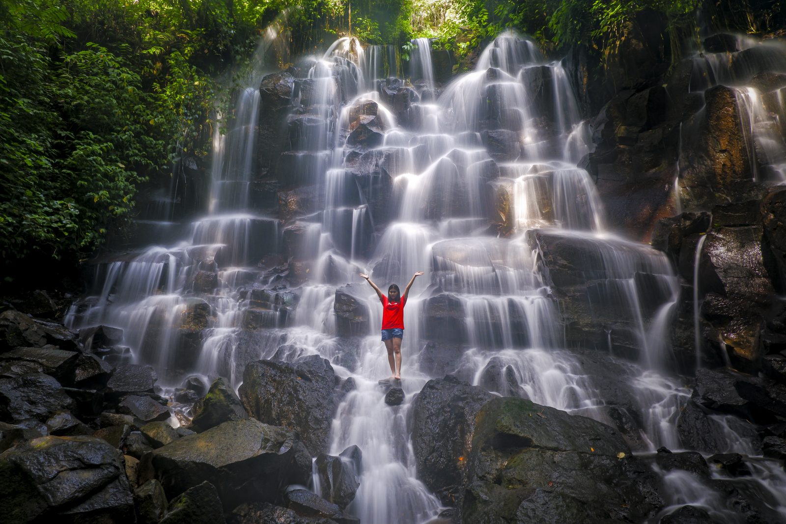 photo credit: Ari Amphibia