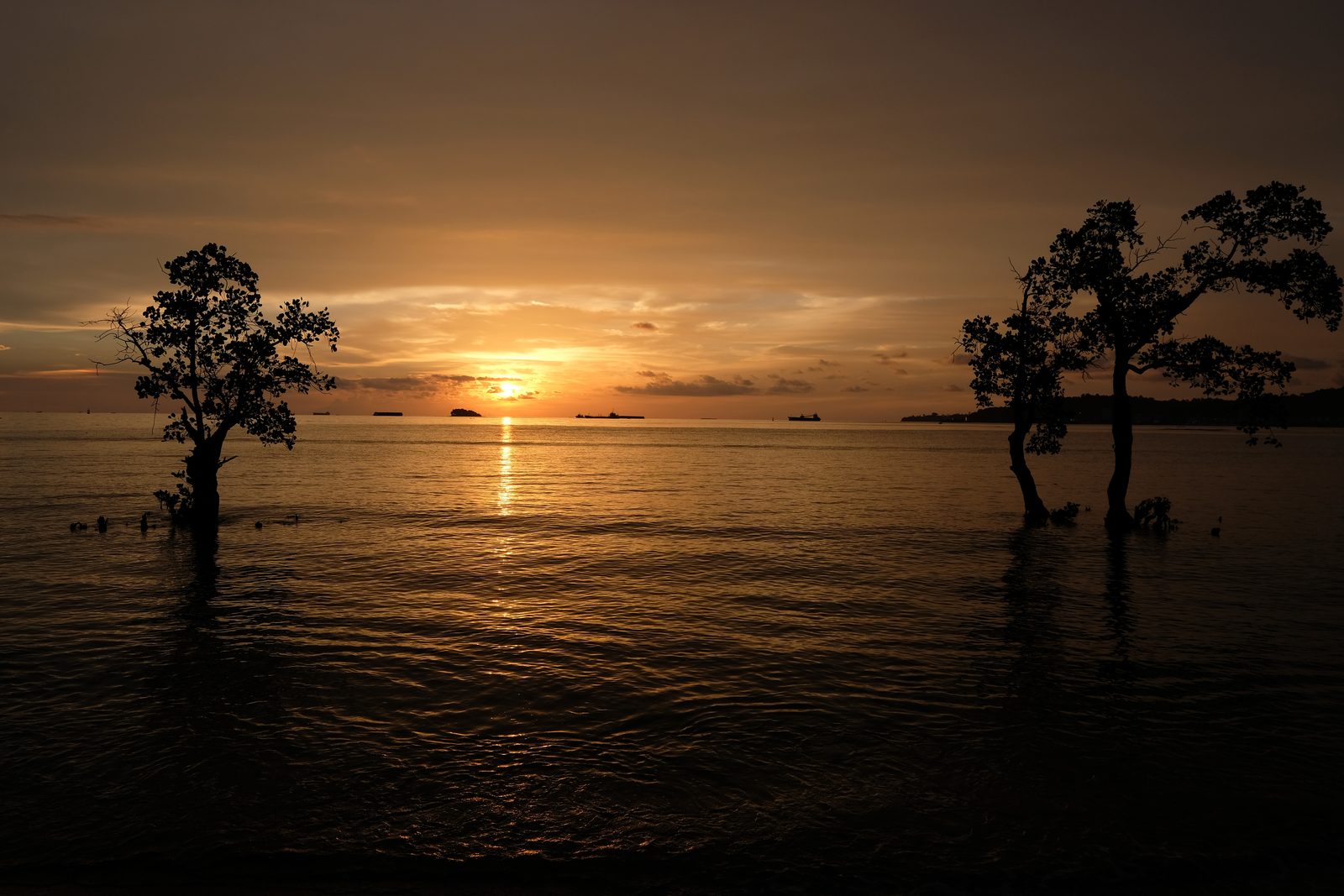 40062442895 Fujifilm X-H1