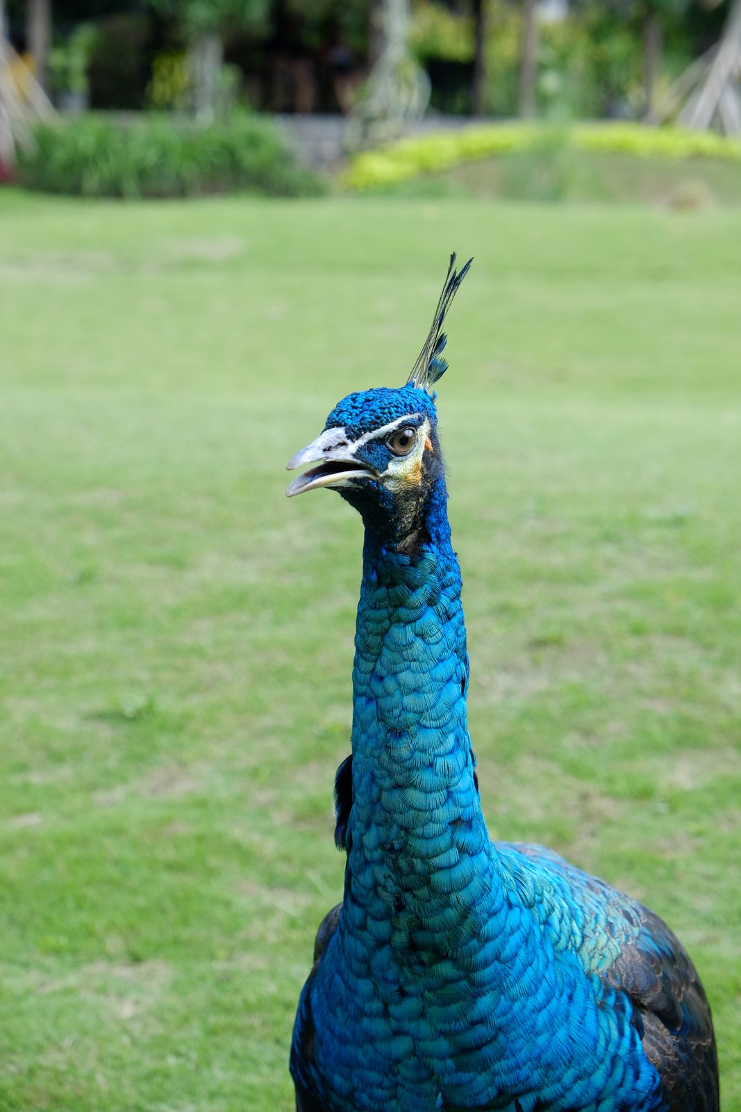 14095774836 Fujifilm X-T1 - Foto 1