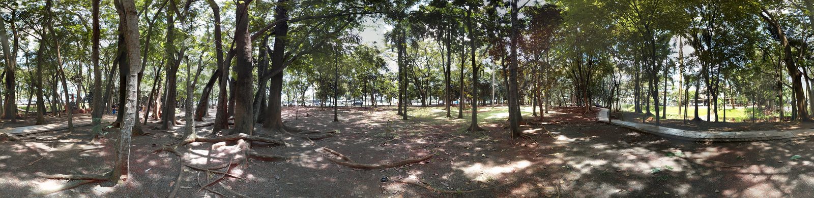 8656810048 Google LG Nexus 4 - Foto 5