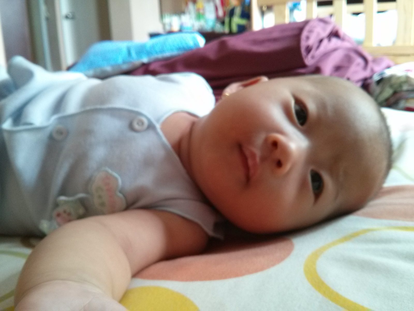 8656811542 Google LG Nexus 4 - Foto 4