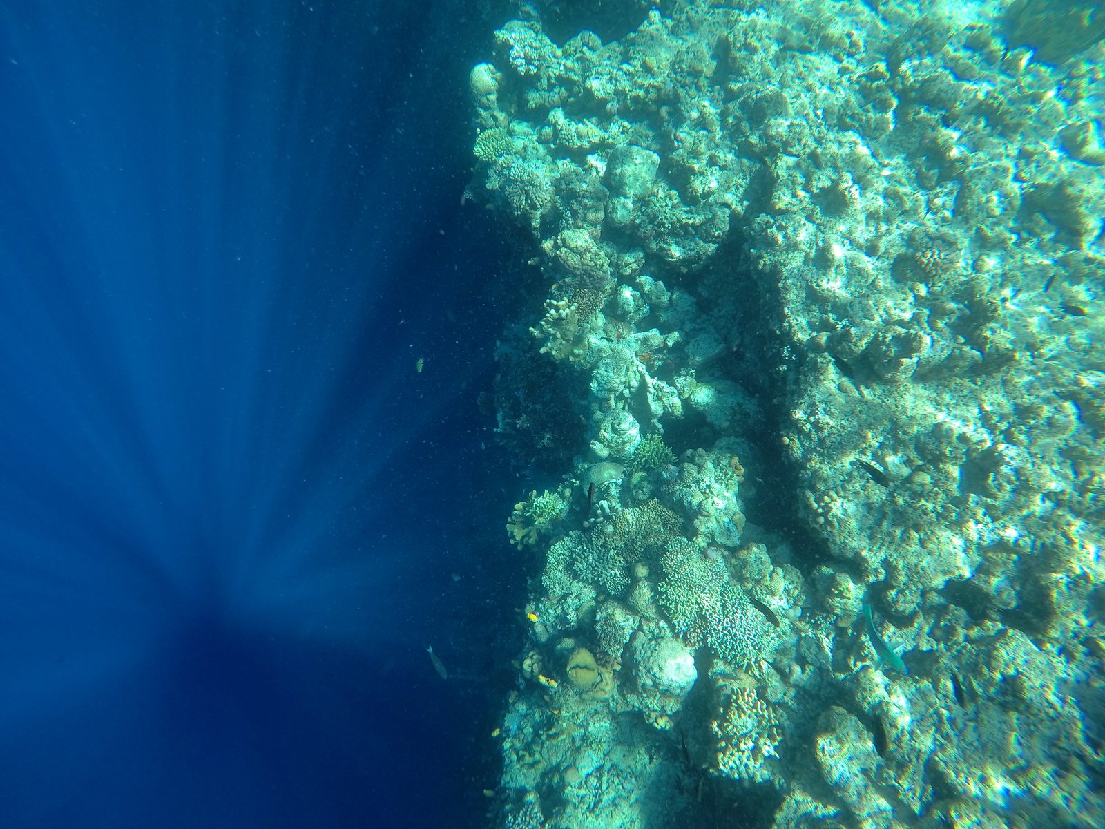 44317388712 GoPro Hero - Foto 4