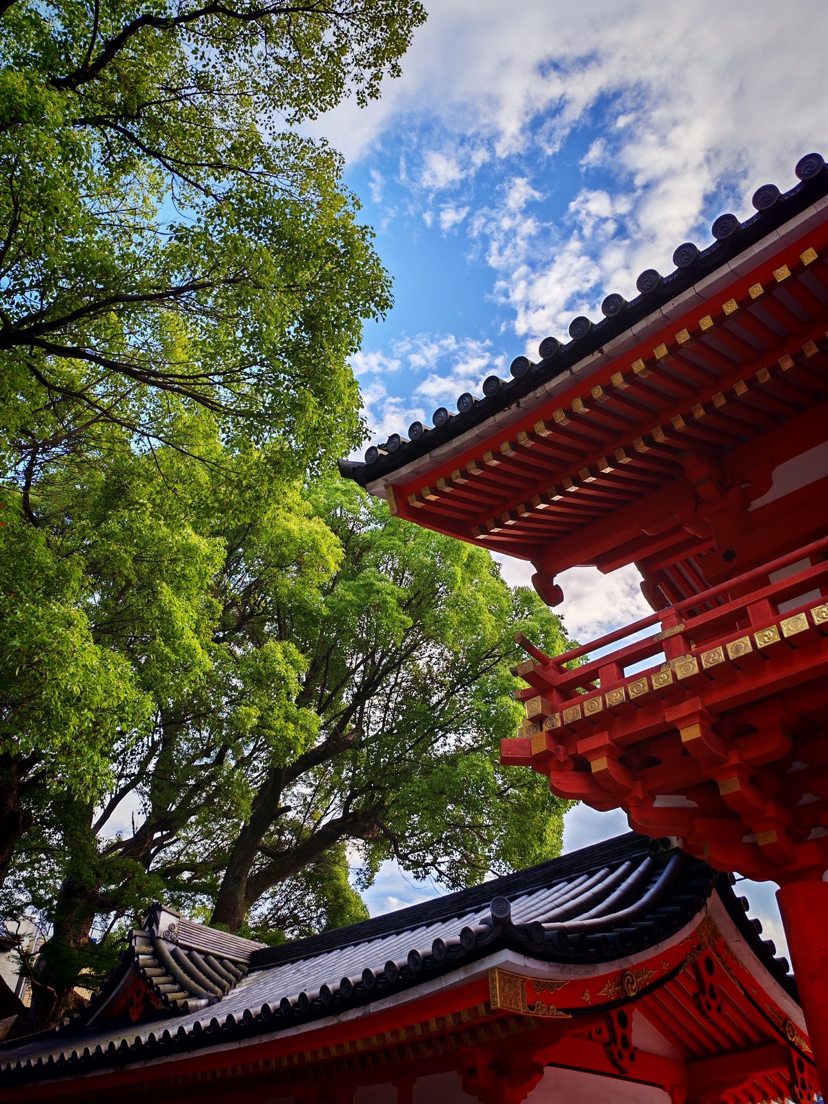 54627933639 Honor 400 Japan 2025 - Foto 1