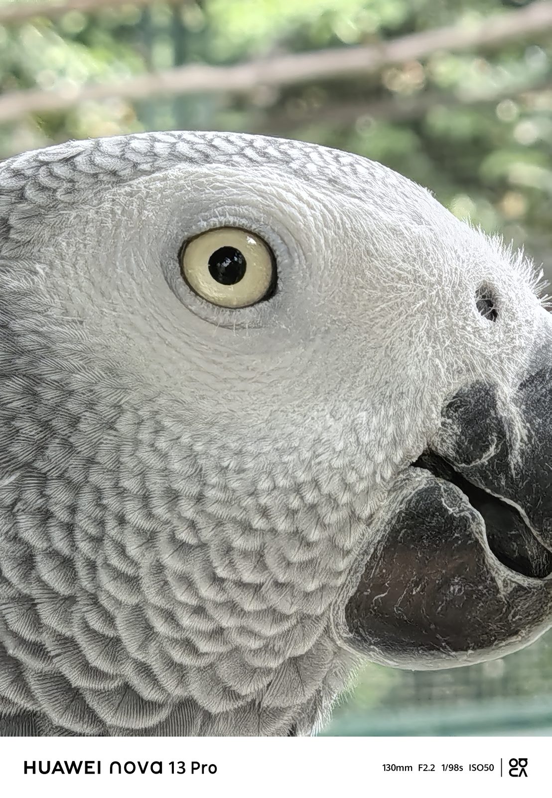 Huawei Nova 13 Pro - Foto 4