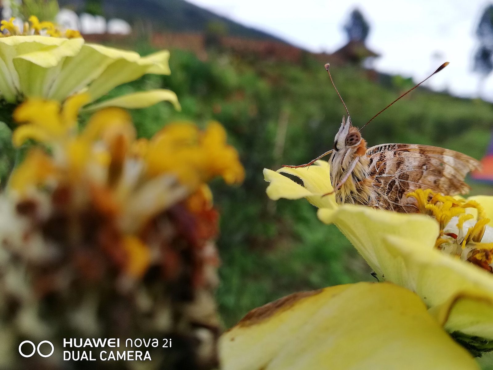 HUAWEI NOVA 2i - Foto 10