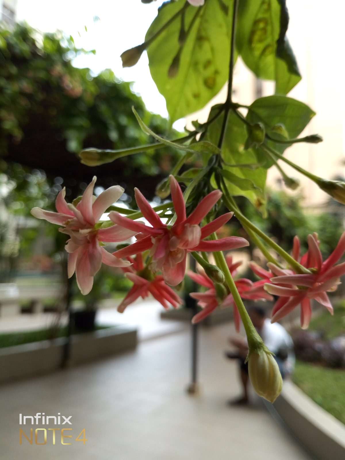 Infinix Note 4 - Foto 1