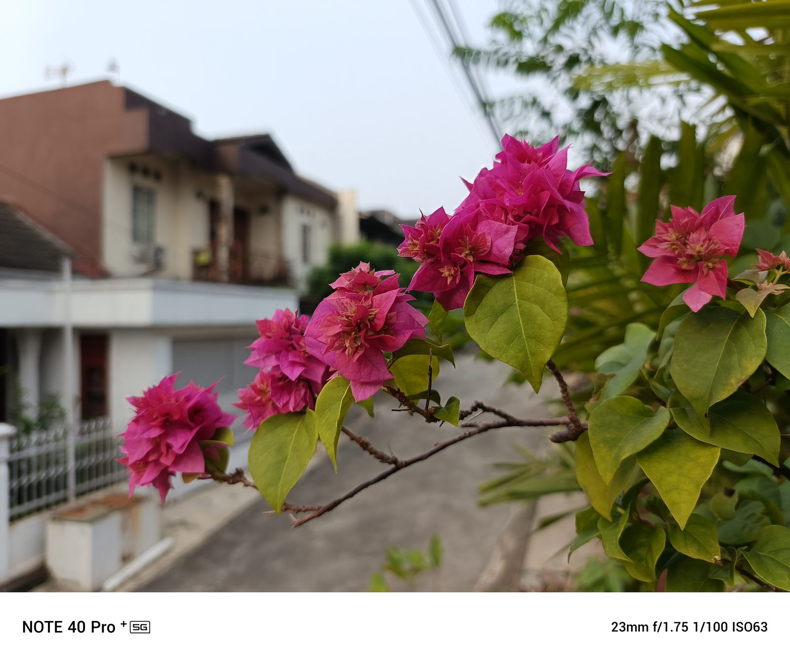 53729108336 Infinix Note 40 Pro+ 5G - Foto 2