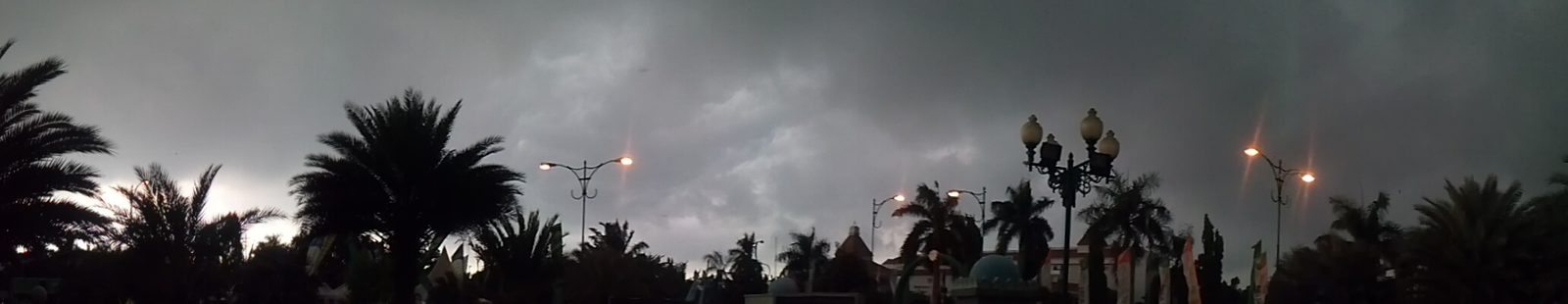 8240376062 Optimus L9 photo panorama