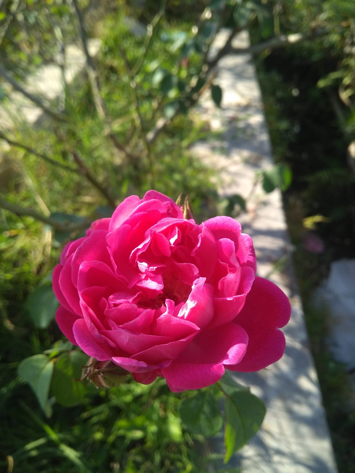 Moto G5S Plus - Foto 2