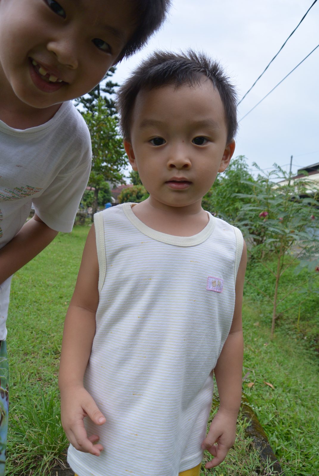 8627849894 Nikon 1 S1