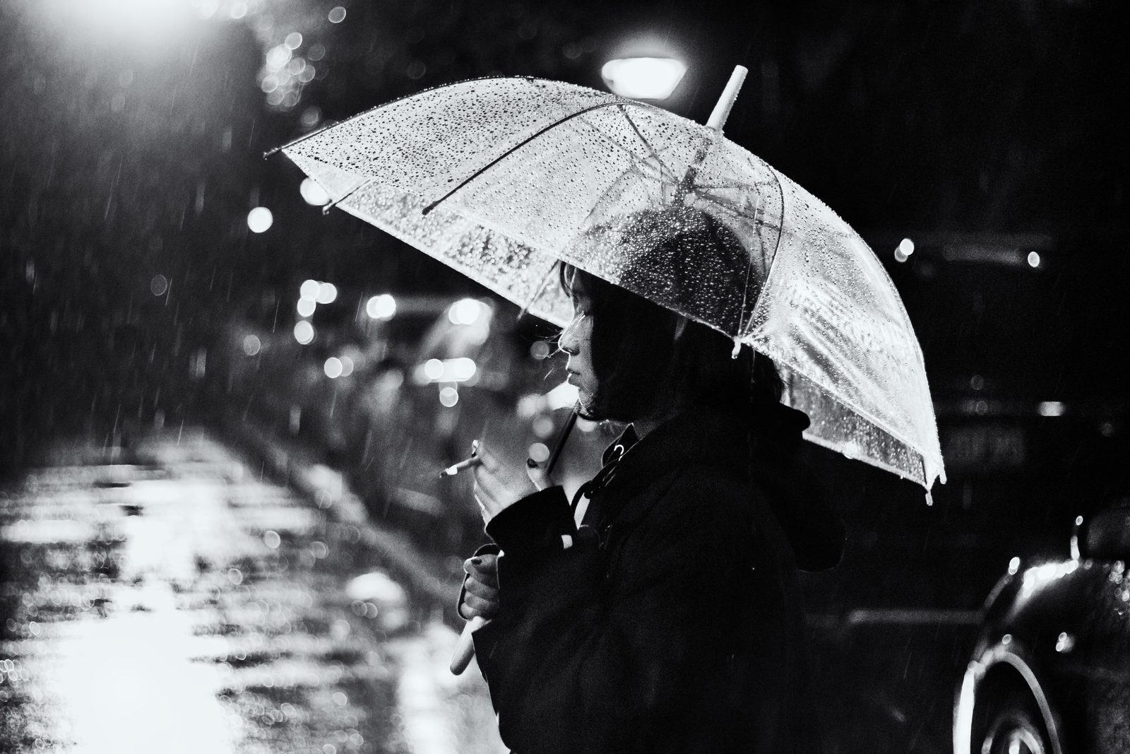 48609677277 Next Generation Award Photo Story Gold Prize
