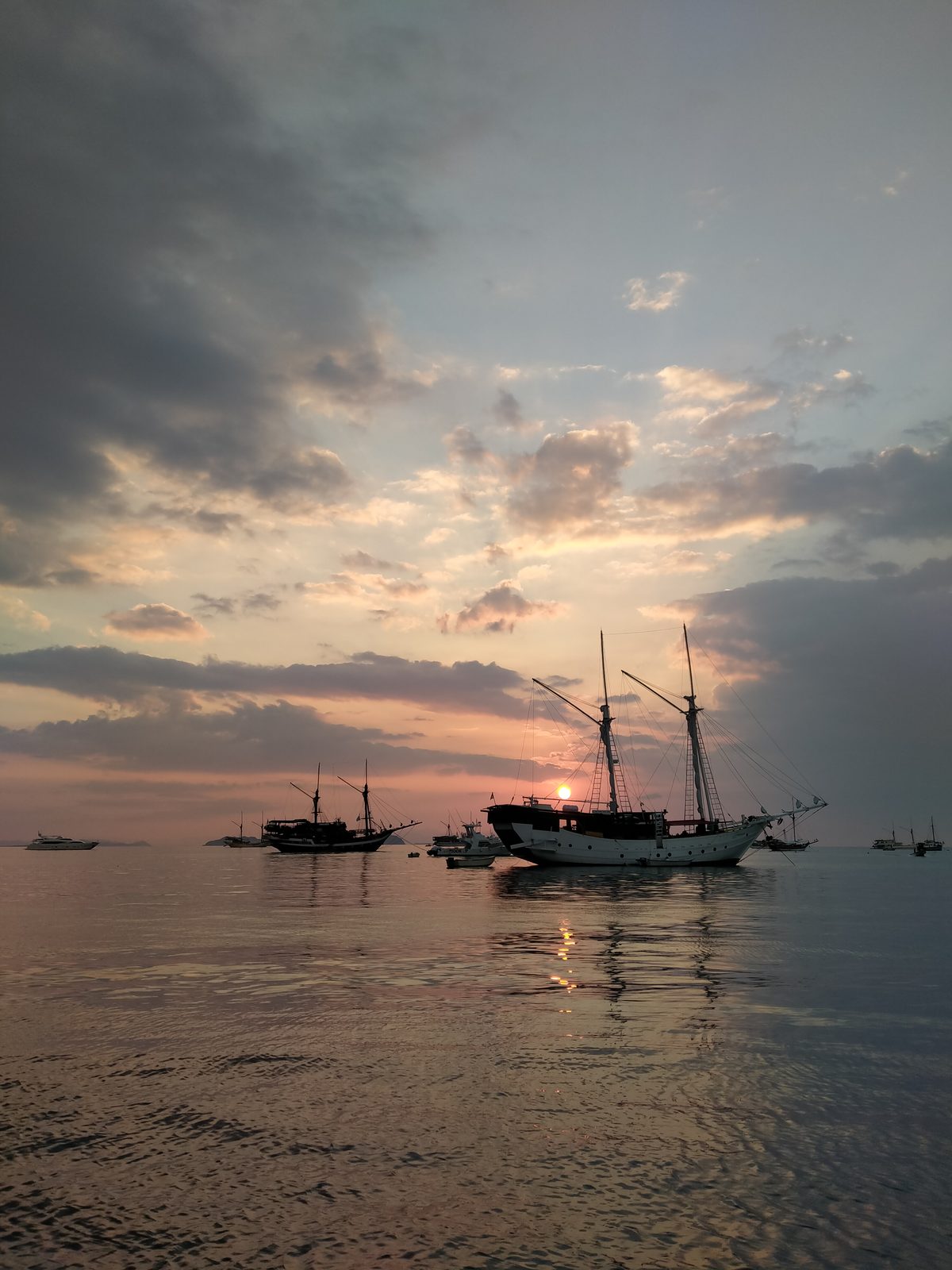 48819323767 OPPO A5 2020 - Foto 6