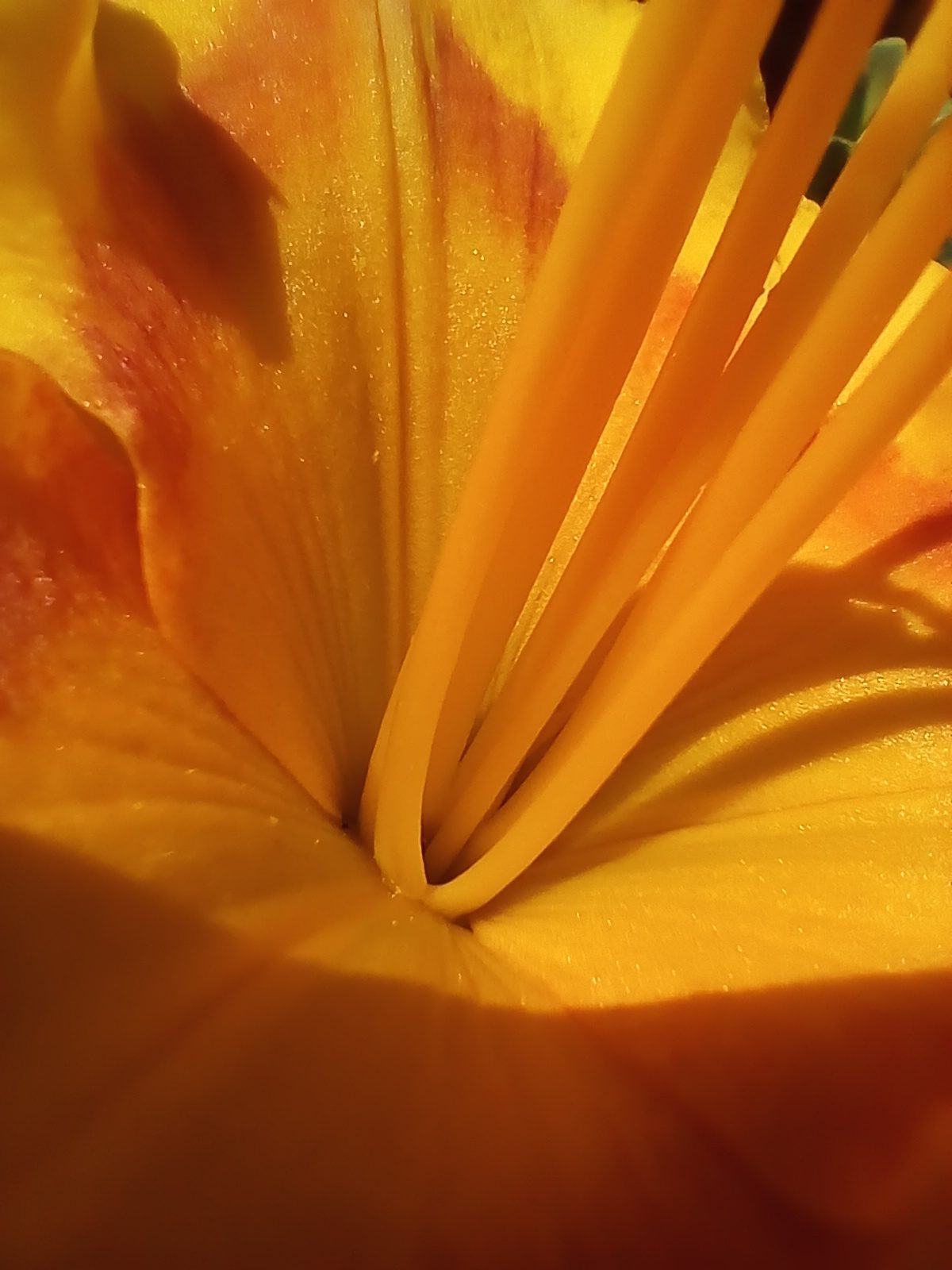 51113981337 macro mode