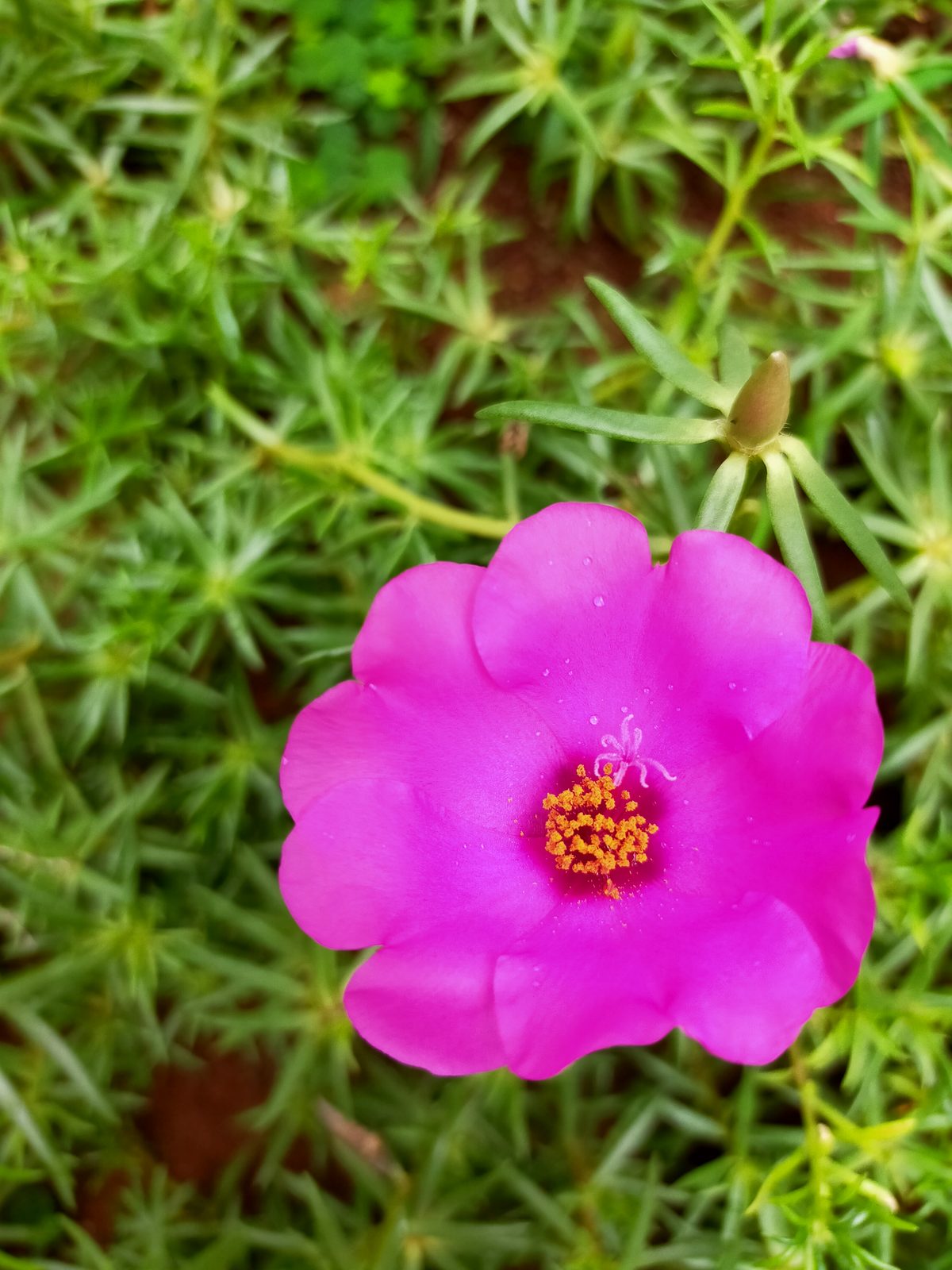 OPPO A92 - Foto 10