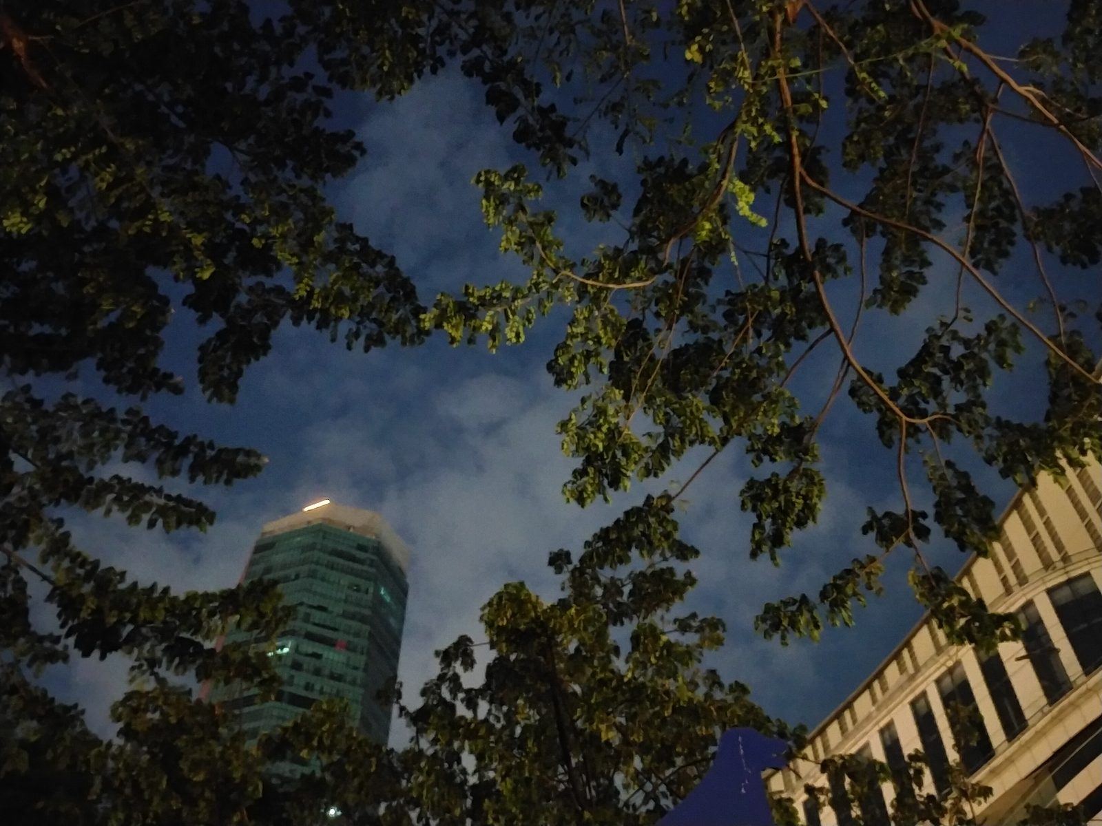 OPPO A92 - Foto 6