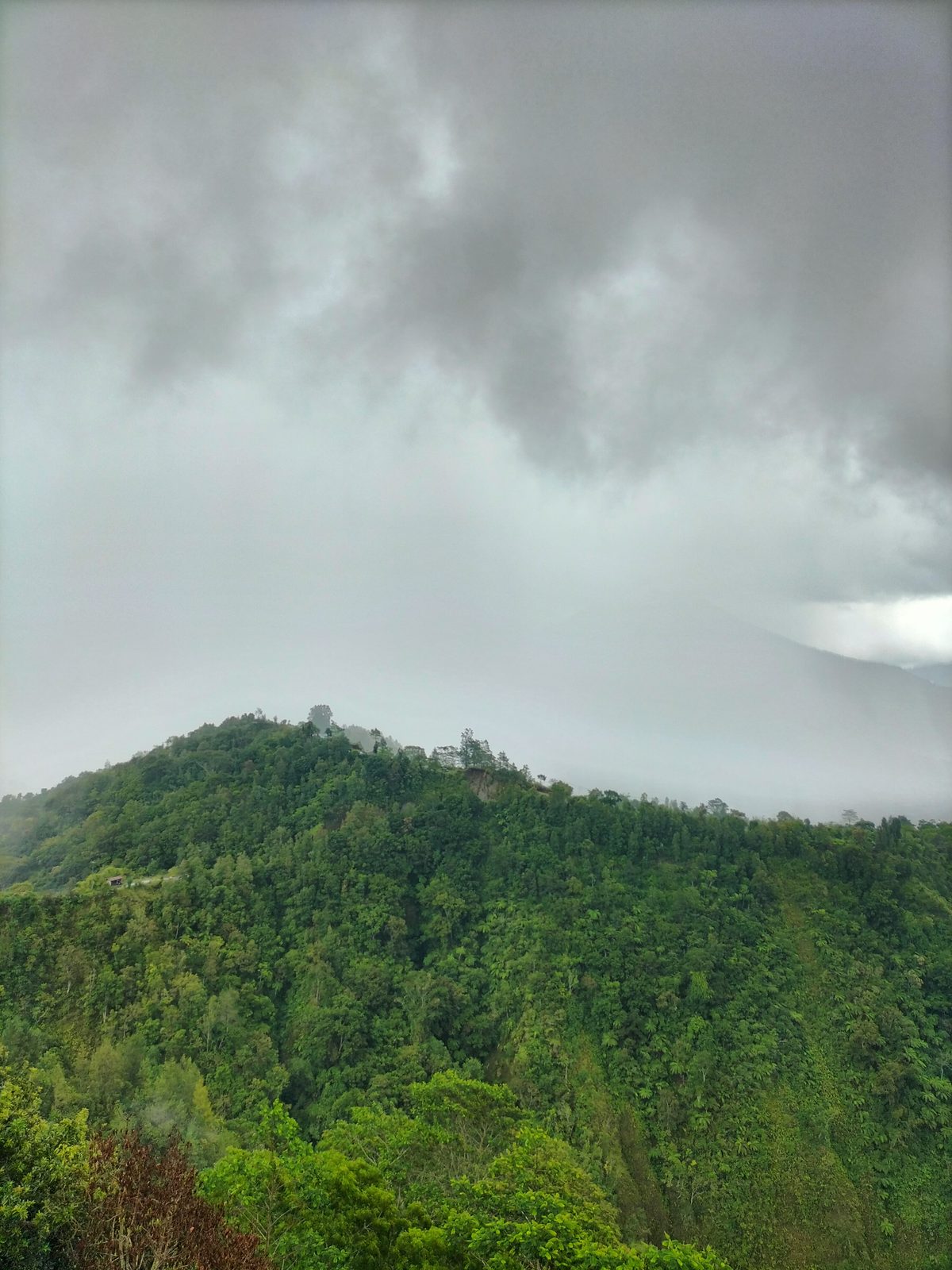 51808185045 OPPO A95 - Foto 5