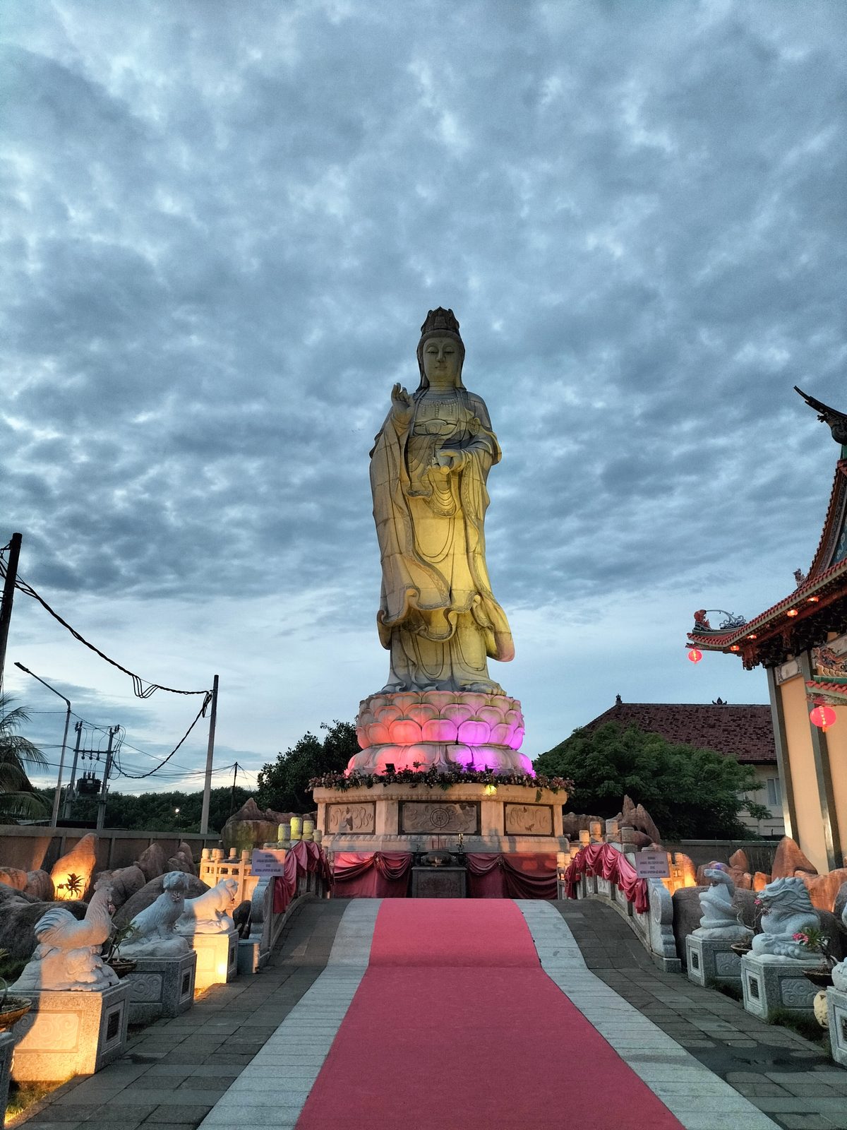 51808193750 OPPO A95 - Foto 11