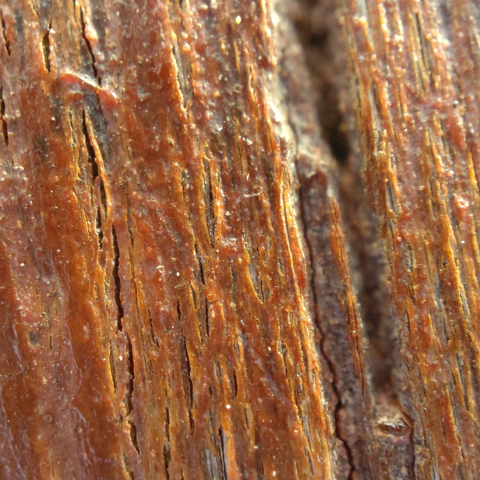 OPPO Find X3 Pro - Foto 30