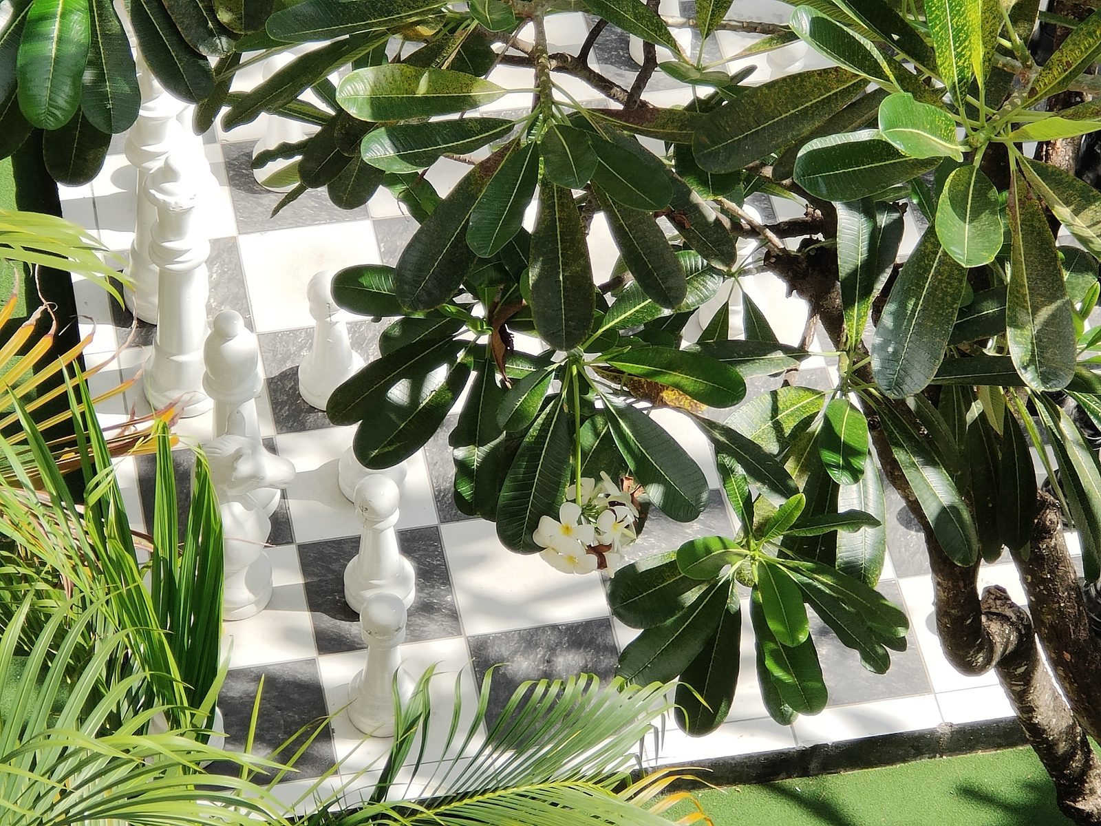 5x zoom