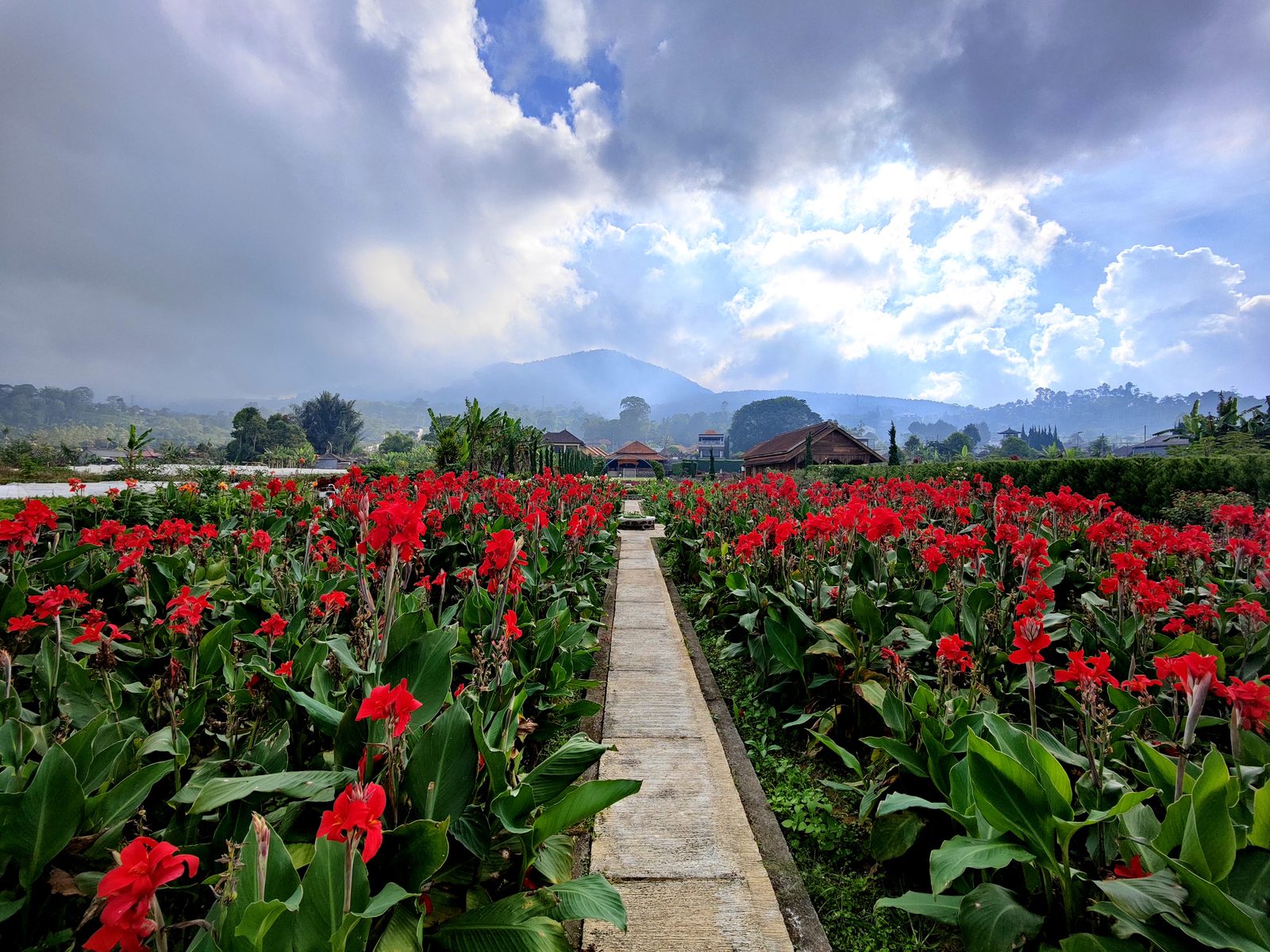 OPPO Find X3 Pro - Foto 10