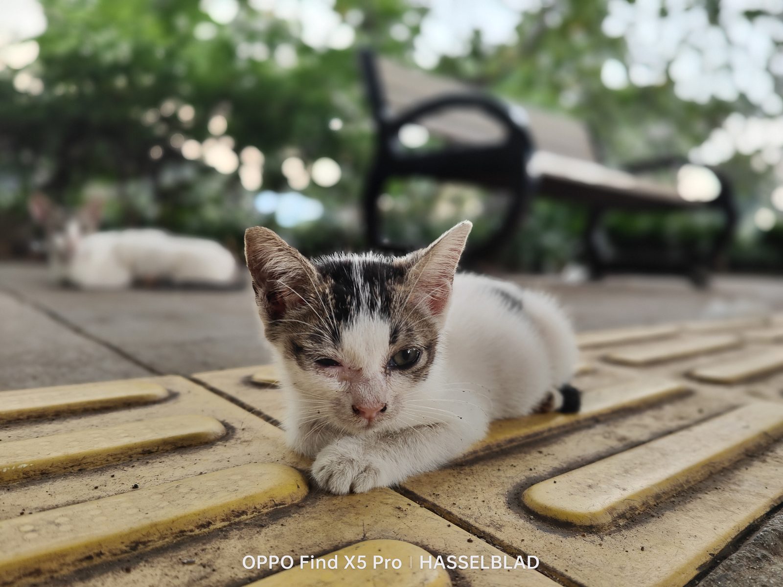52060805047 OPPO Find X5 Pro - Foto 19