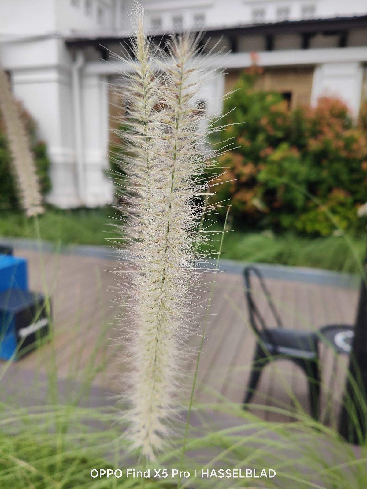 52060808217 OPPO Find X5 Pro - Foto 17
