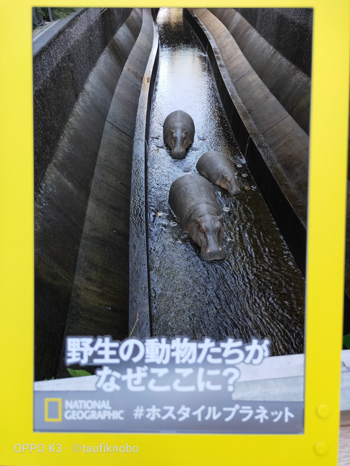 OPPO K3 - Foto 4