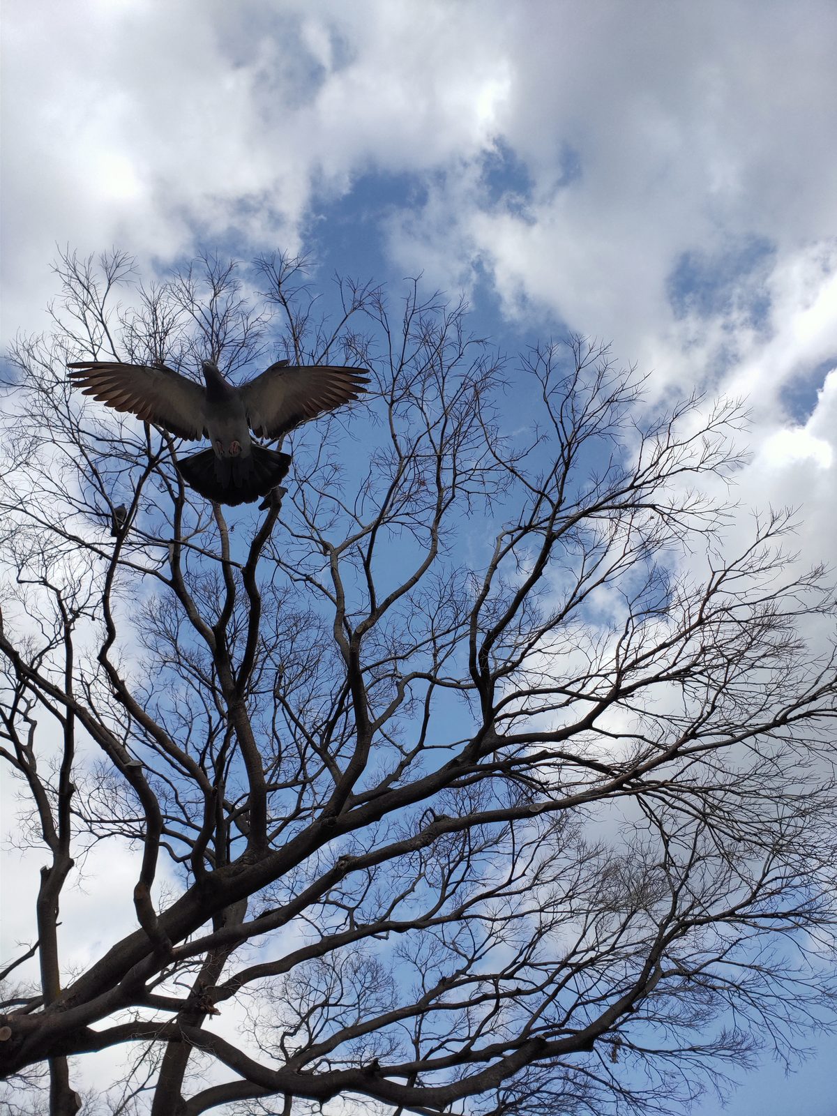 32284311847 OPPO R17 Pro Explore Japan - Foto 4