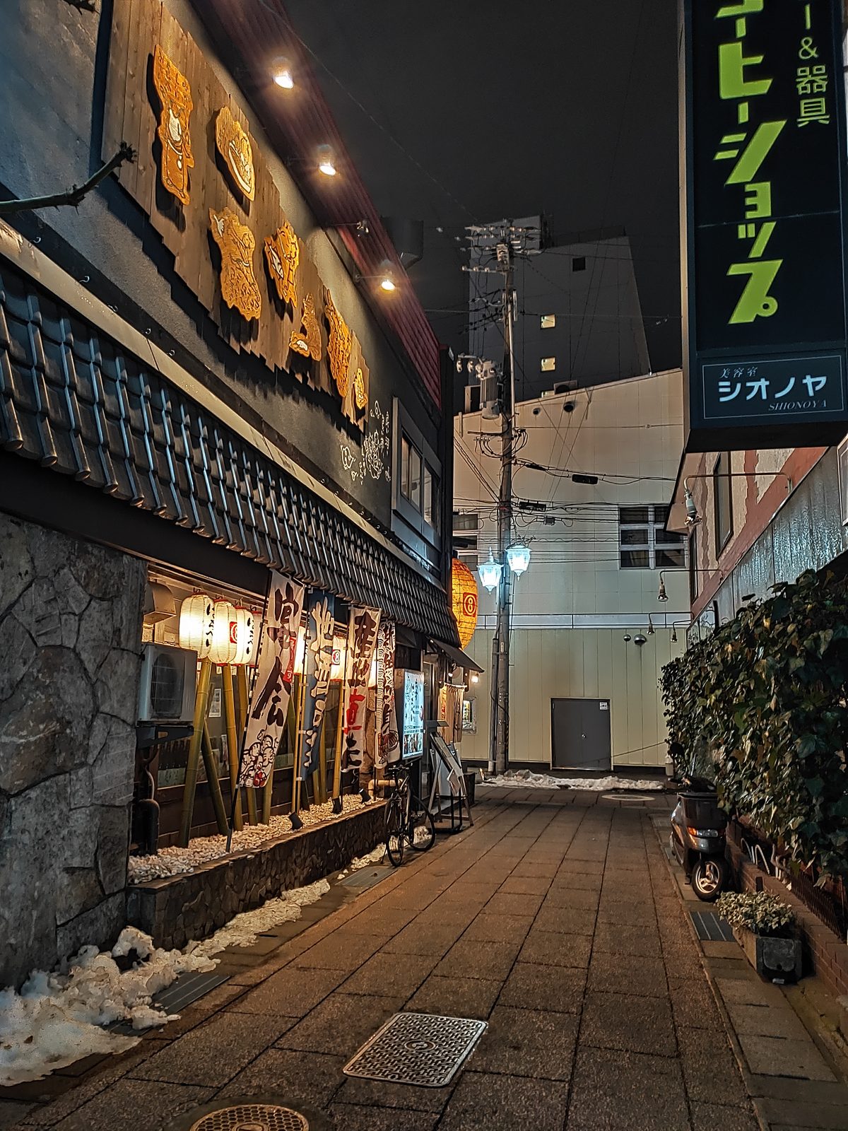 46312094435 OPPO R17 Pro Explore Japan - Foto 31