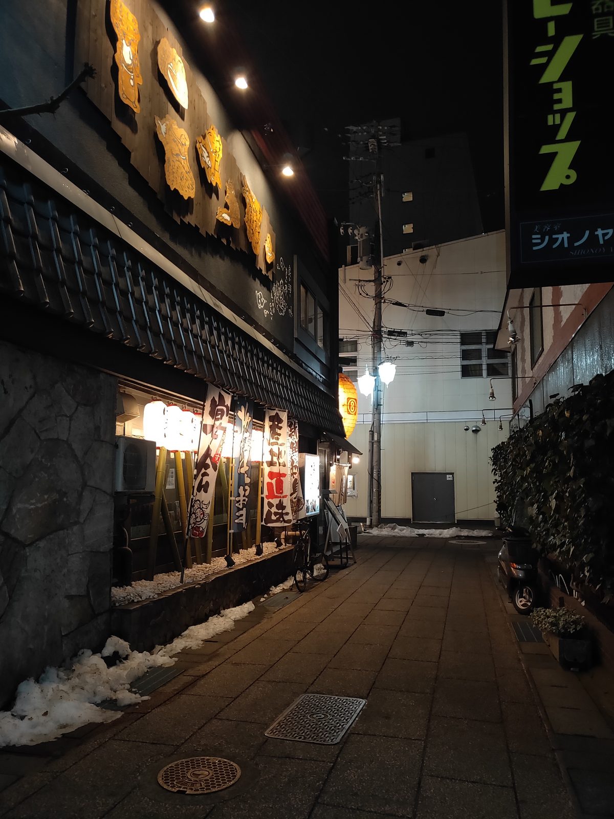 46503092174 OPPO R17 Pro Explore Japan - Foto 30