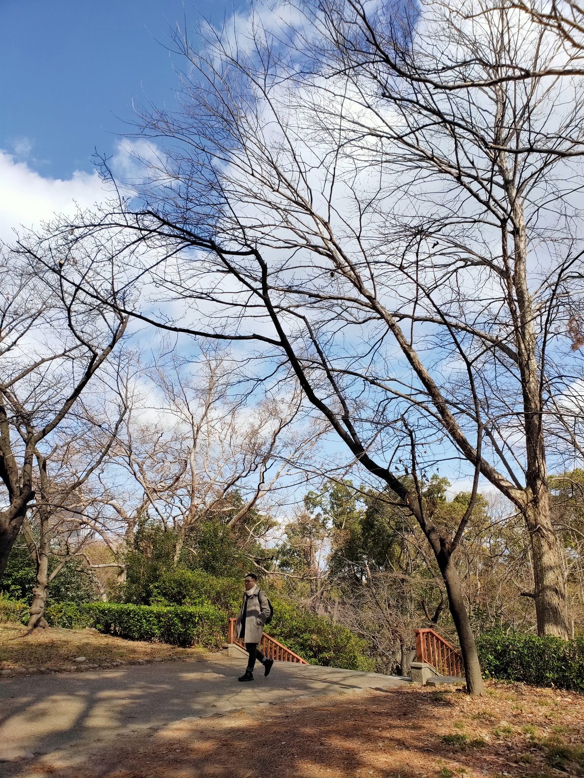 47226447351 OPPO R17 Pro Explore Japan - Foto 3