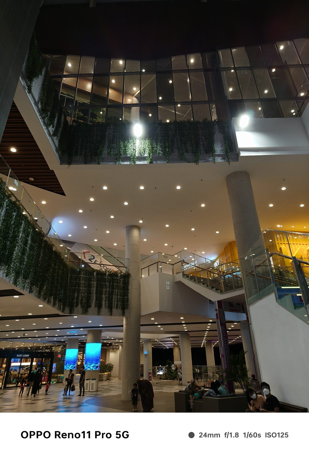 53497008867 Night Mode OPPO Reno11 Pro 5G (1)