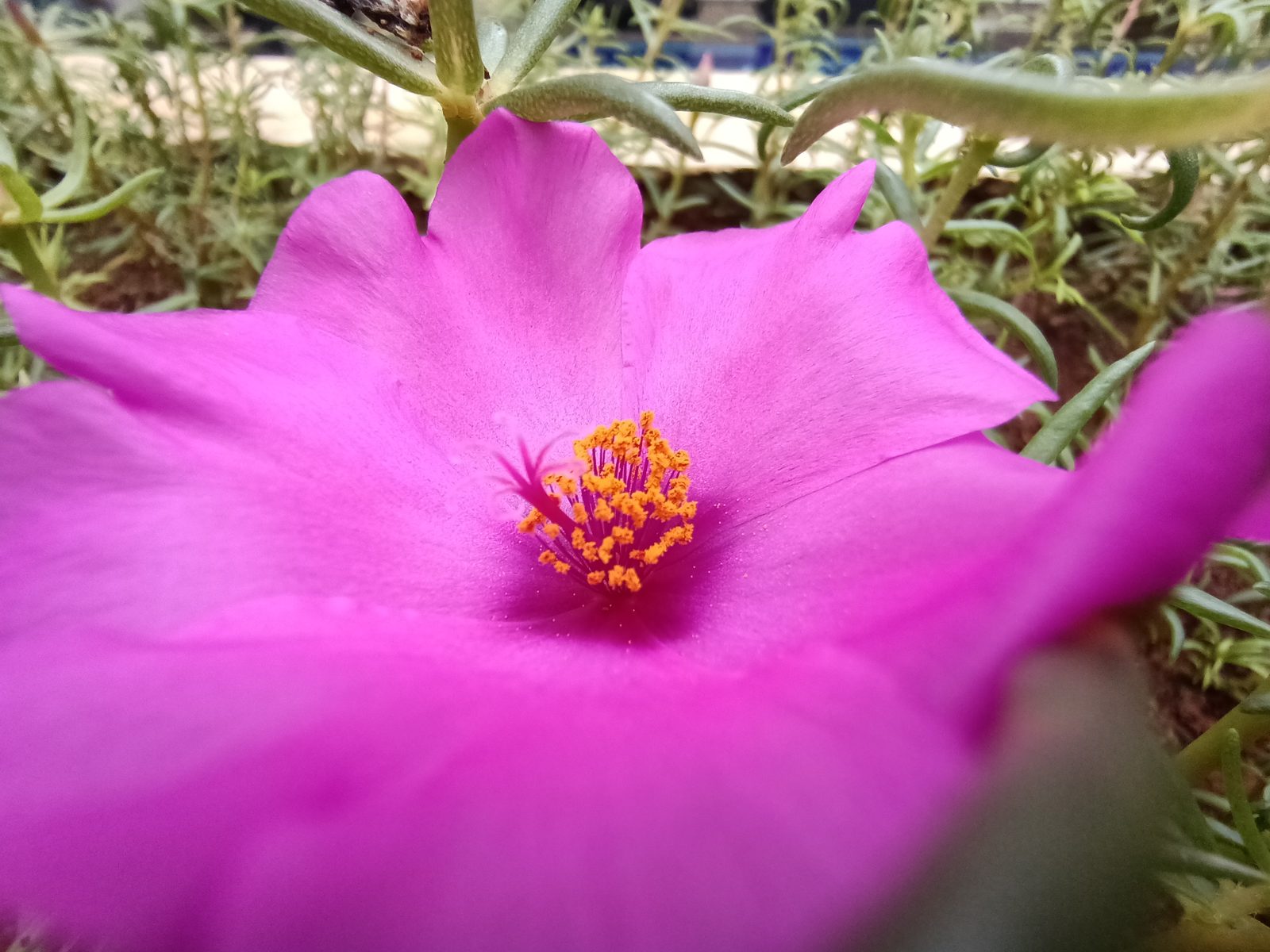 49780023072 OPPO Reno3 Pro - Foto 21