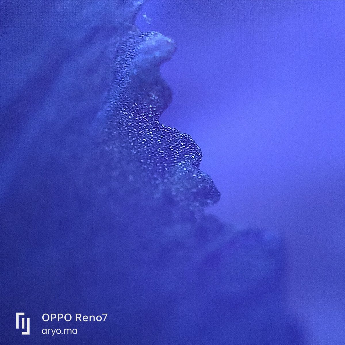 52081123012 OPPO Reno7 - Foto 4
