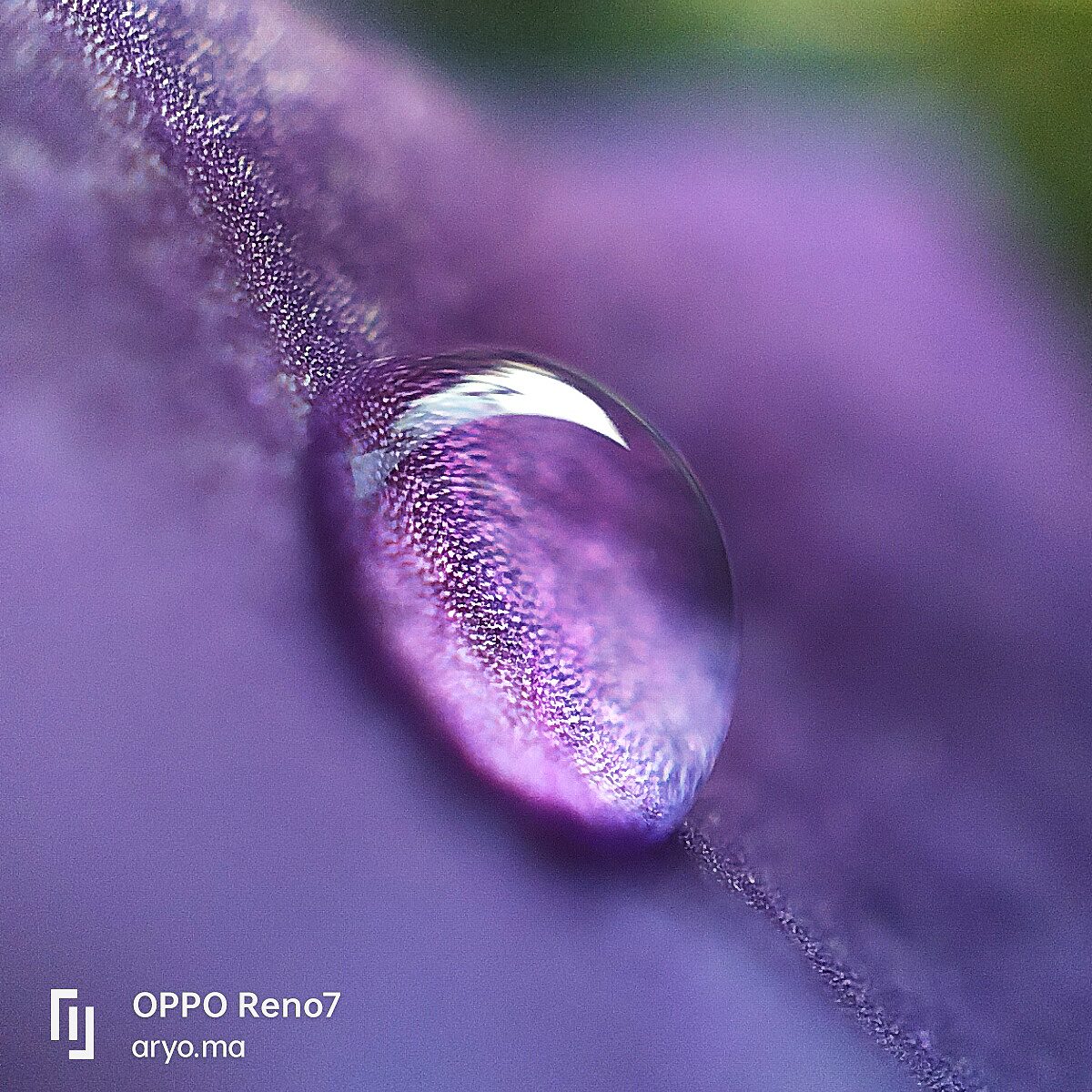 52082392544 OPPO Reno7 - Foto 3