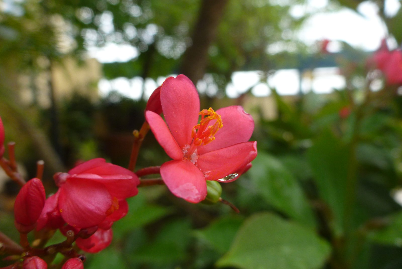 6765486617 Panasonic Lumix DMC-FT3 - Foto 11
