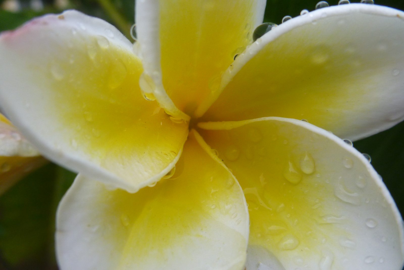 6765509599 Panasonic Lumix DMC-FT3 - Foto 6