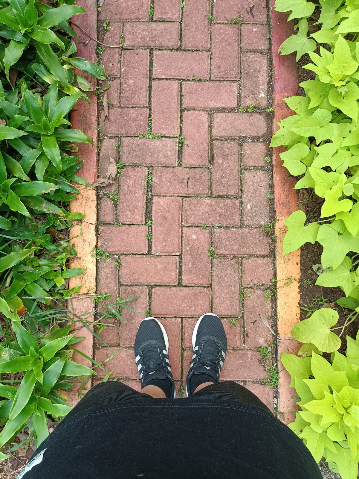 POCO M4 Pro - Foto 3