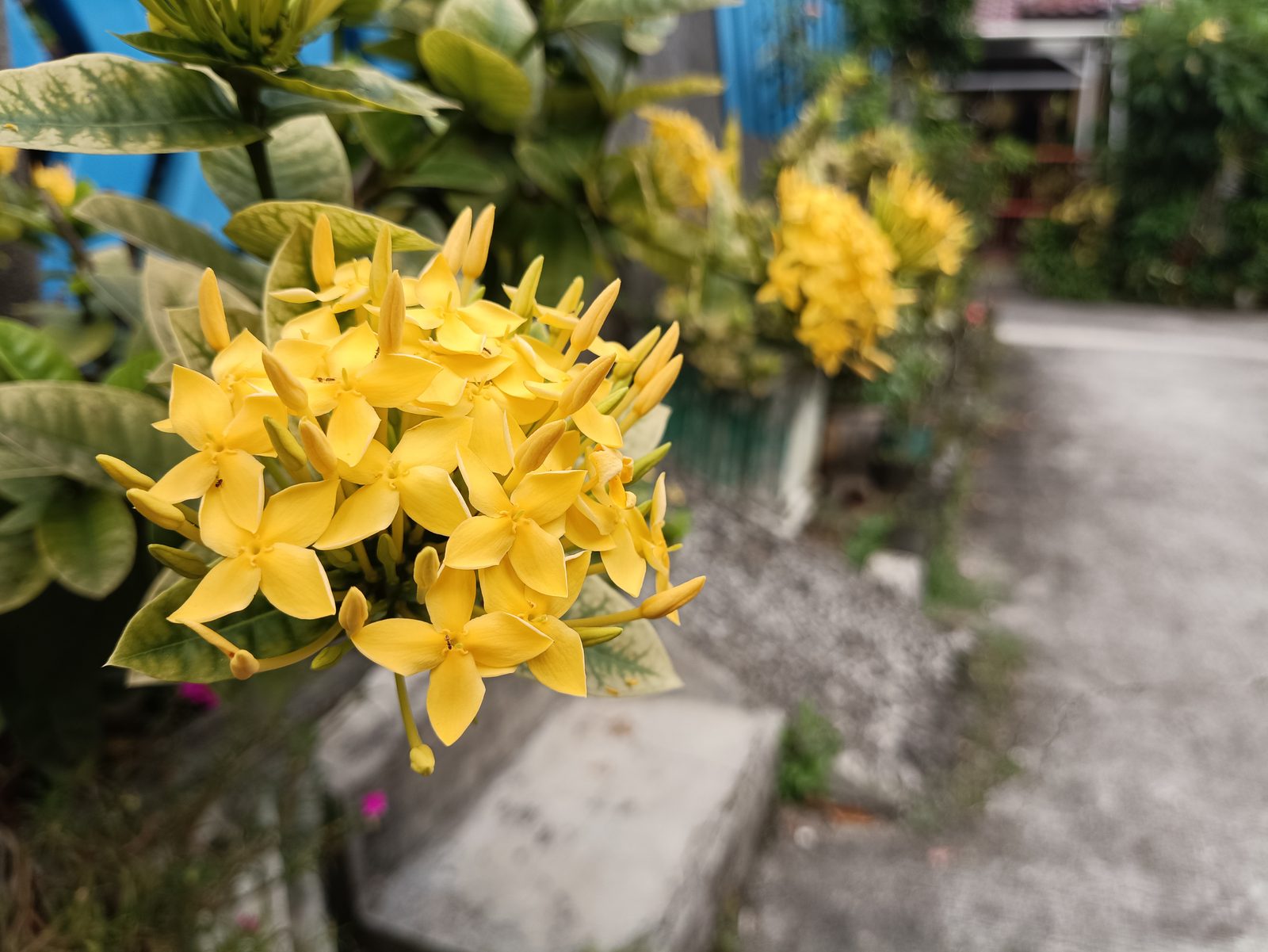 POCO M4 Pro - Foto 5