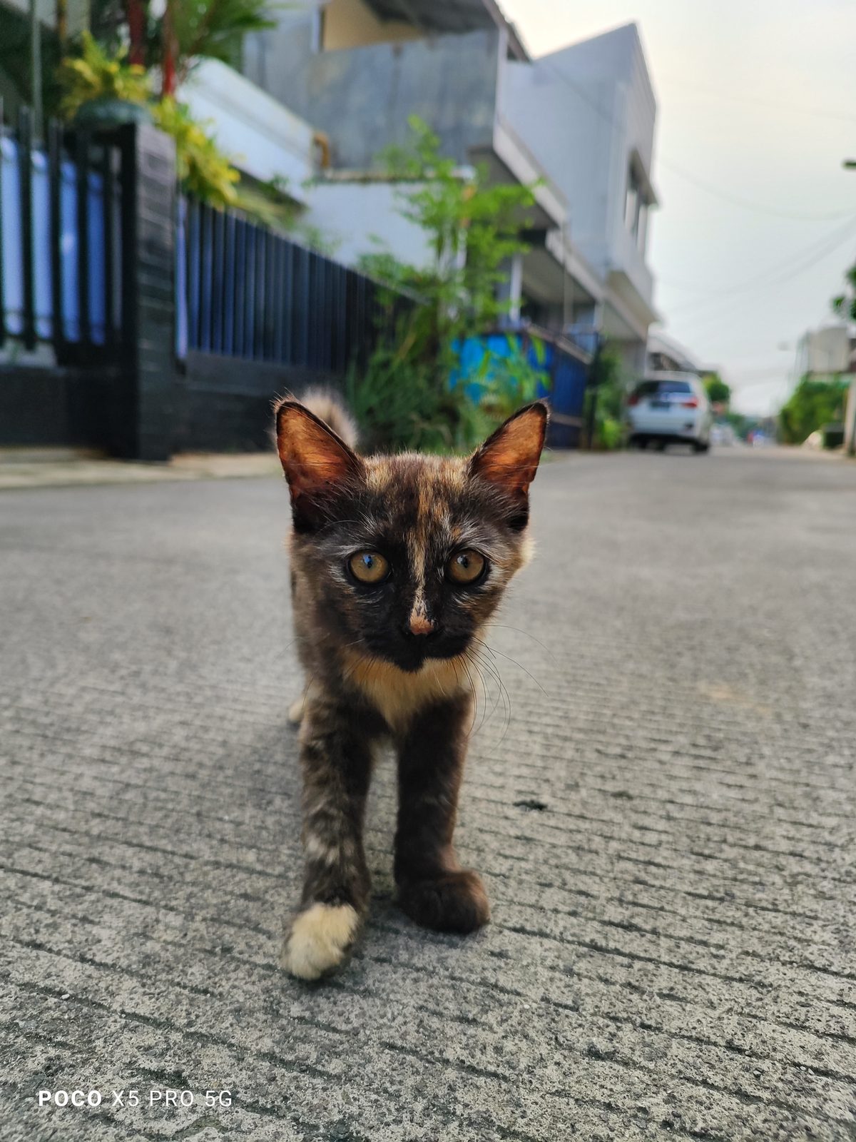 POCO X5 Pro 5G - Foto 1