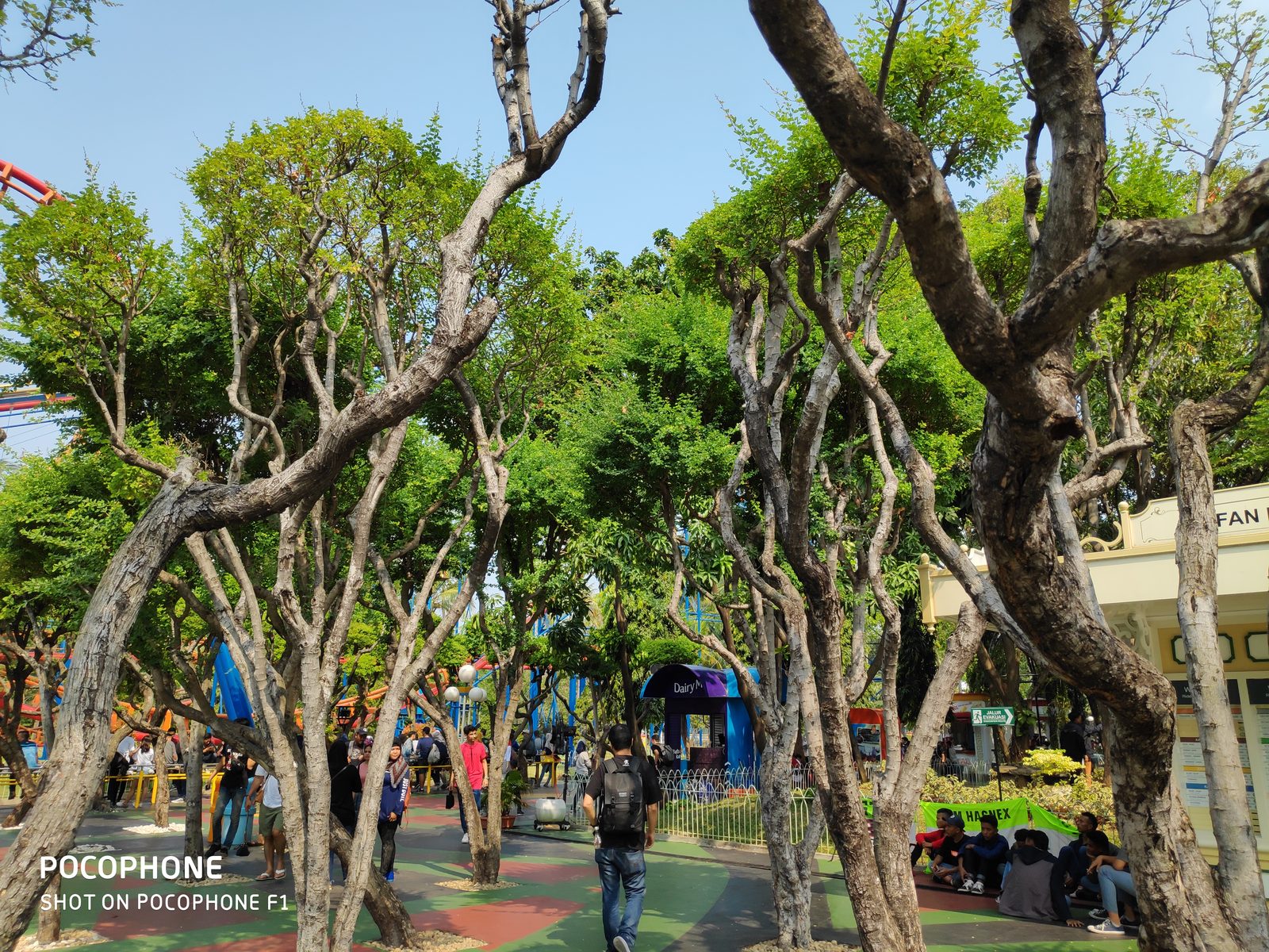 44561067952 Hasil foto Xiaomi Pocophone F1 (4)